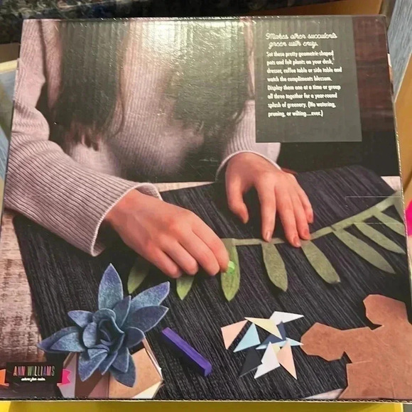 Fun Potted Felt Succulents kit - Picture 2 of 4